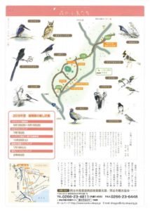 2019小鳥裏