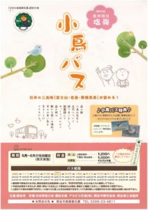 2019小鳥表