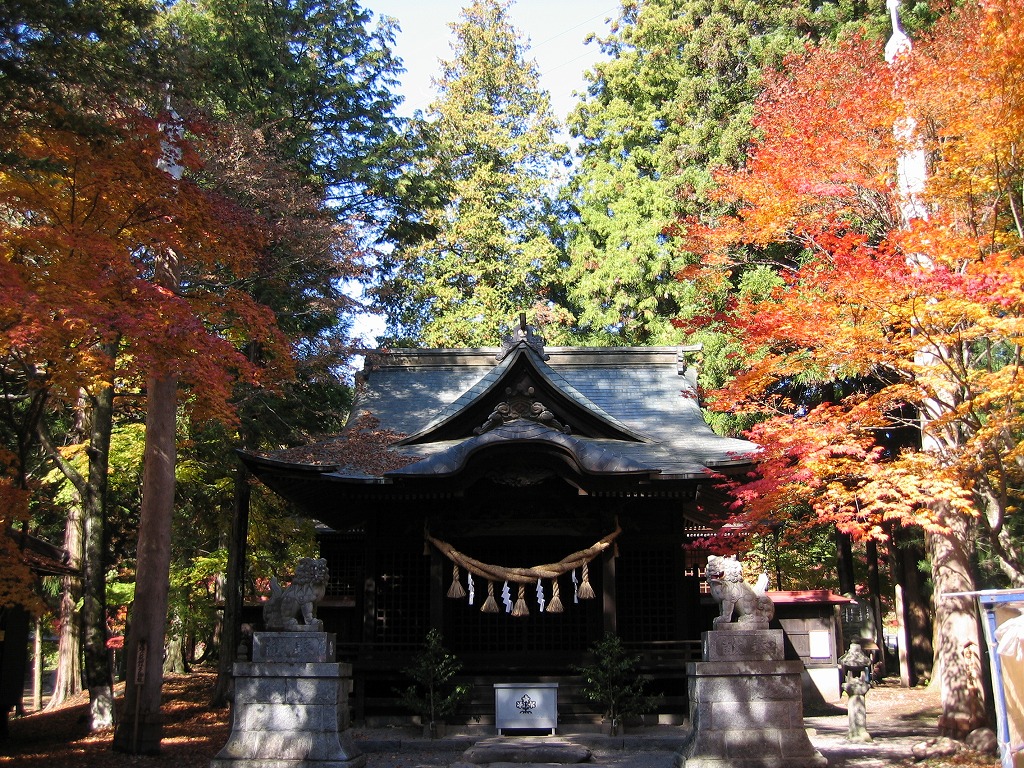 izuhaya7