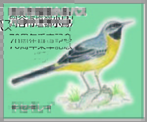  alt=