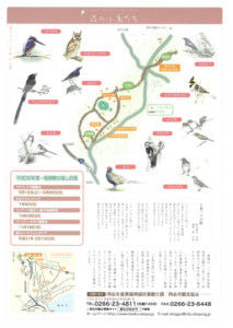 小鳥バス2