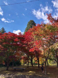 出早公園10－30②