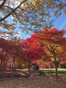 出早公園11－5⑤