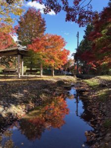 出早公園10－30③