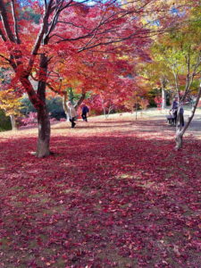 出早公園11－5②