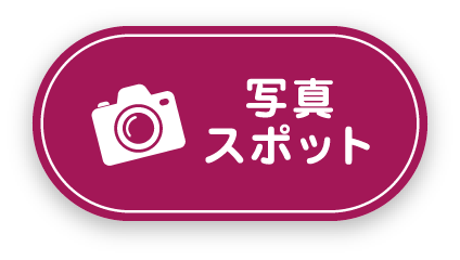 写真スポット