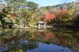 塩嶺御野立公園